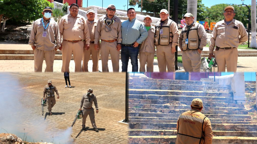 Finaliza con éxito la campaña contra el dengue, zika y chikungunya